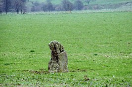 Poldean Standing Stone, Dumfries & Galloway