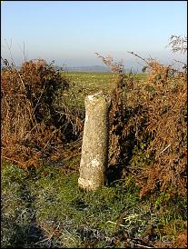 Cross & Hand Stone Stone, Dorset, 2001 Cross & Hand Stone Stone, Dorset