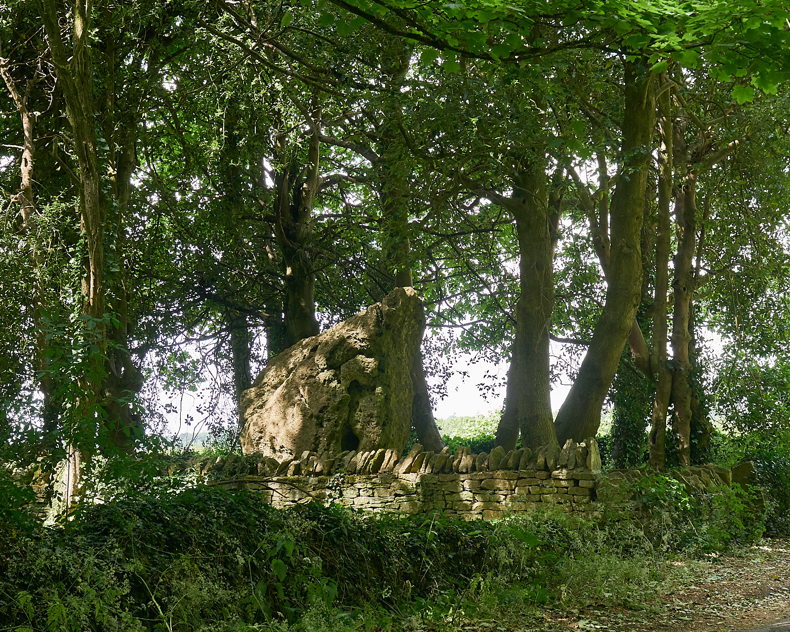 Hoarstones Dolmen, Oxfordshire