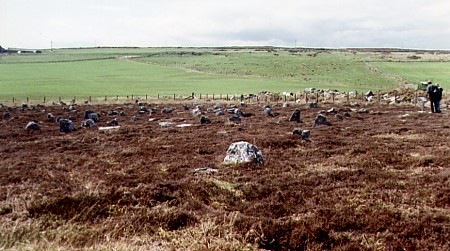Hill O' Many Stanes Alignment, Caithness, Hill O' Many Stanes Alignment, Caithness