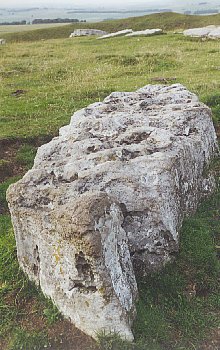 One of the limestone stones of Arbor Low, Arbor Low Stone Circle, Derbyshire