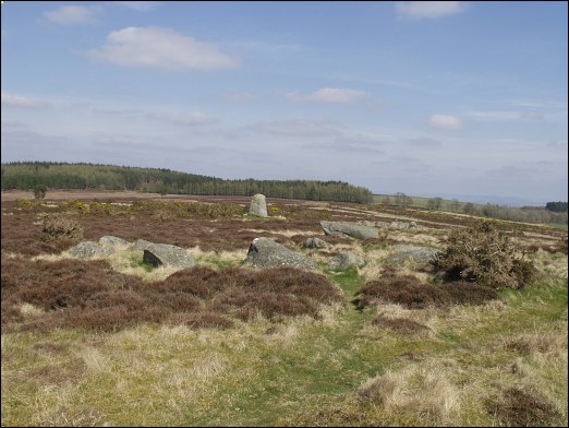 Fowlis Wester Stone Circle, Perthshire, 2005 Fowlis Wester Stone Circle, Perthshire