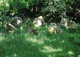 Lissyviggeen Stone Circle, Kerry, 2000 Lissyviggeen Stone Circle, Kerry